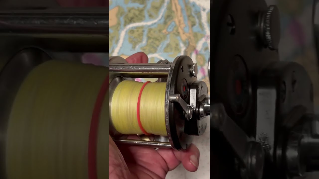 フィッシングリール PENN 210モデル Penn 210 Fishing reel of the day #fish - YouTube