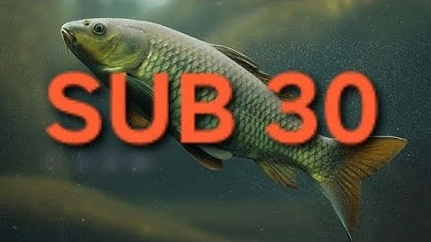 FWOP Speedrun World Record - 0:28:656