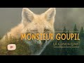 🦊 Monsieur Goupil (renard) en liberté 🏔️ - Le Klan du Loup