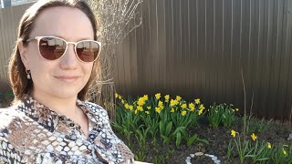 Мои 4 сотки | Посадка винограда | Апрель 2019 Цветы и сорняки❣ Мои 4 сотки | Посадка винограда | Апрель 2019 Цветы и сорняки❣