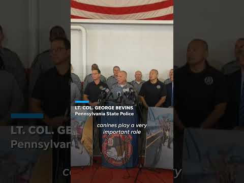 Yoda the Belgian malinois helps capture Danelo Cavalcante #Shorts