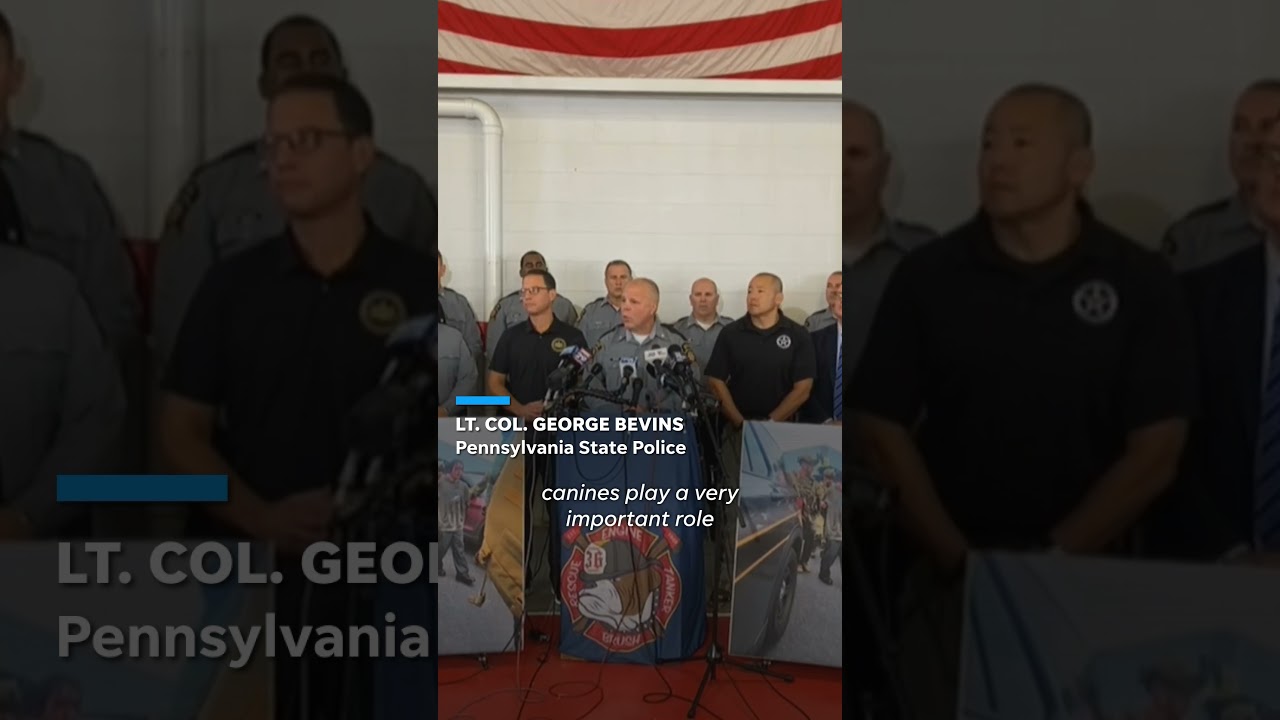 Yoda the Belgian malinois helps capture Danelo Cavalcante #Shorts