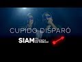 SIAM - Cupido disparó Ft Herencia de Timbiquí (Video Oficial)