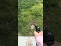 Lwk satisfying #satisfying #satisfyingvideo #glock17gen4 #airsoft #bbgun #fire #subscribe #fyp