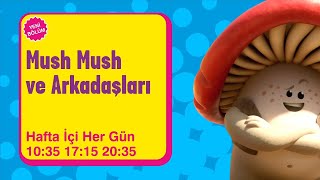 Mush Mush ve Arkadaşları | Hafta içi Her Gün 17.15 | Boomerang TV Türkiye