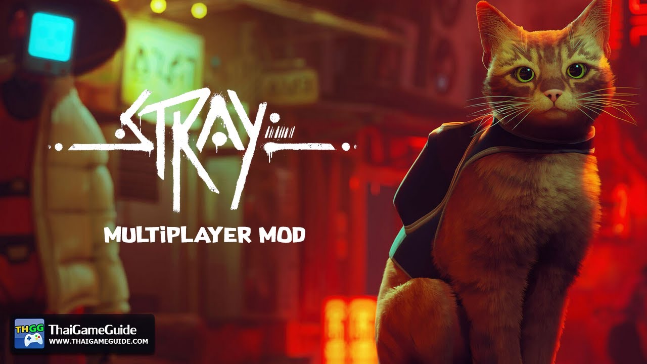 You can now play Stray in splitscreen multiplayer