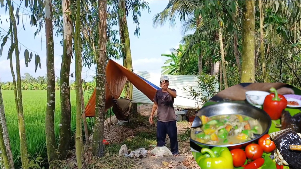 Tập 47 _ Săn bắt cắm câu đêm ll Bất ngờ hốt đươc con rắn hổ hành quá ngon