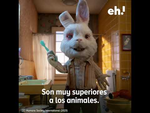 Campaña para terminar con la experimentación en animales