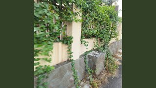 Till The End Of Time