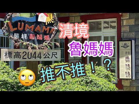 【虎店】清境-魯媽媽～推不推！？#清境#魯媽媽#吃不完，也不打包????#翻車！？
