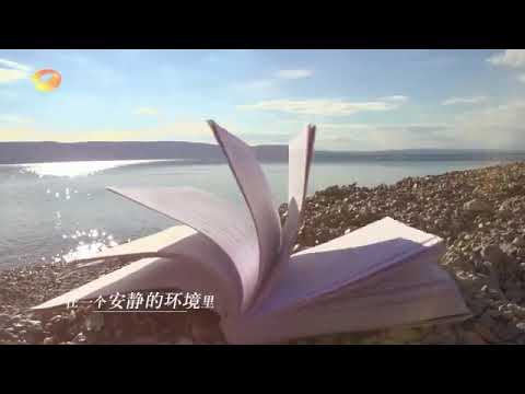 王俊凱《中餐廳第三季》倒計時宣傳片個人篇