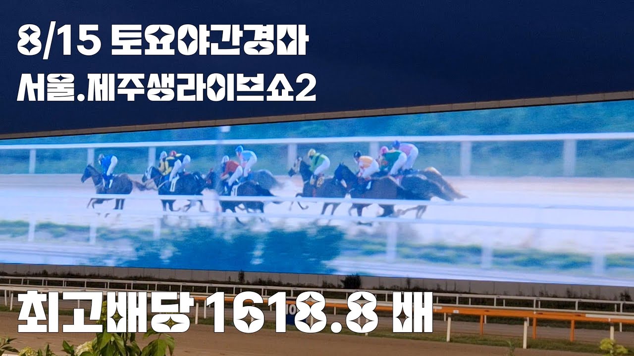 8/15 토요경마 터져야 마추지! 쩝   (서울.제주 생라이브쇼2)