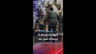 مشاهد لحيوانات محنطة بقيمة 29 مليون دولار screenshot 1