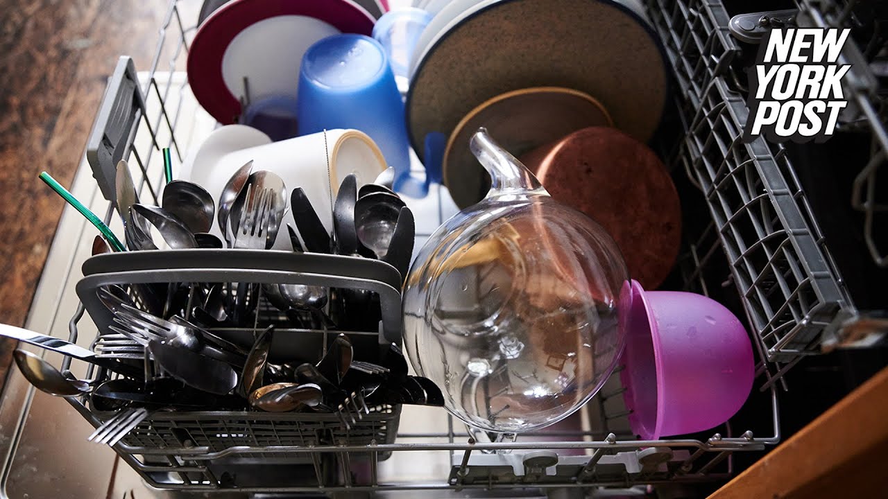 Cleaner discovers mushrooms, oysters growing inside client’s disgusting