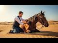 قصة الحصان الأعمى طرده صاحبه ليموت في الصحراء فأنقذه حطاب فقير والمفاجأة أين قاده الحصان