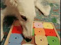 DOG’SUDOKU