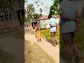 Shorts2025 