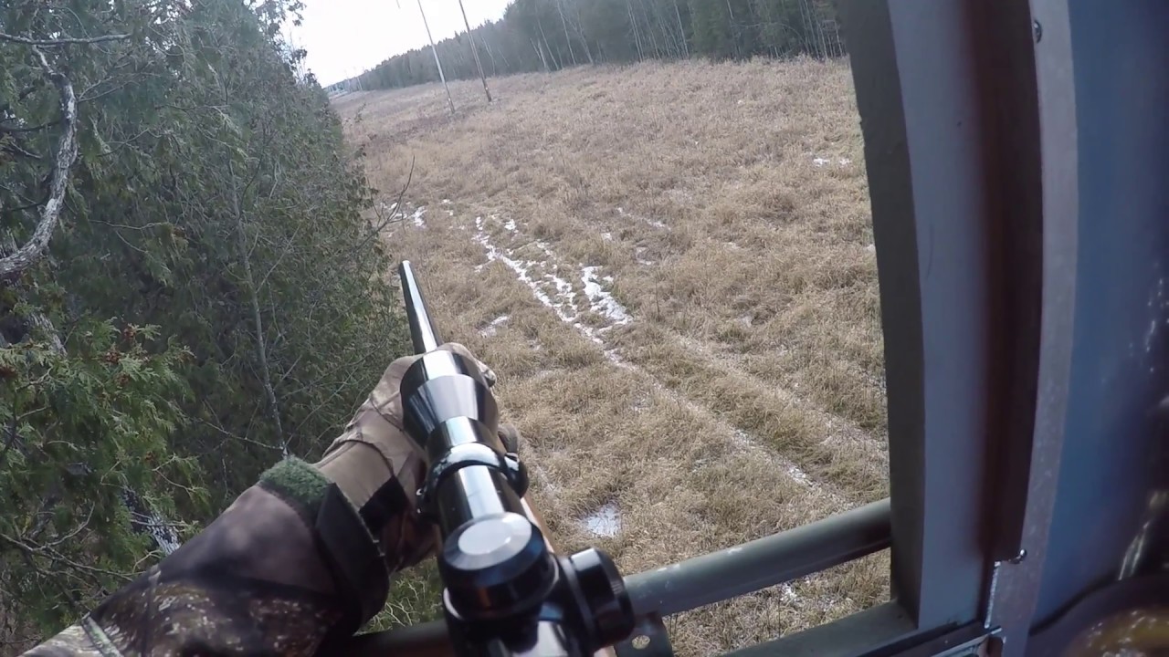 A Successful 2016 Wisconsin Antlerless Whitetail Deer Hunt December