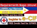 Step by Step e-CIF Online Registration (Philippine Red Cross) | Guide for Returning OFW and Non-OFW