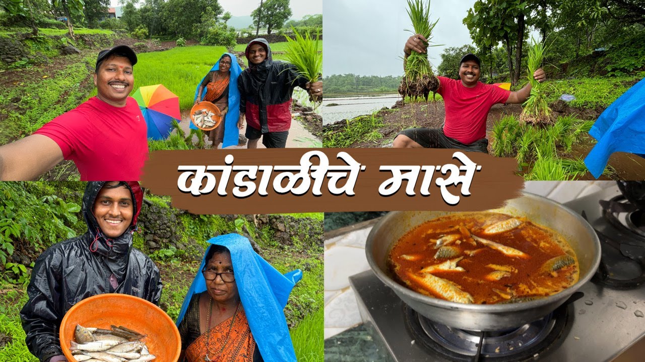 अण्णा आला मुंबईतून कोकणातील गावाला 😍 | शेतावर जाऊन पकडले मासे | S For Satish | Ambavali, Kokan