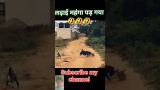 Bhag Arjun Tu bhag Ja Arjun🤣🤣