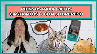 PIENSO PARA GATOS ESTERILIZADOS LIGHT | RÁNKING DE LOS MEJORES✌