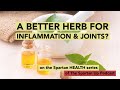 A Better Herb for inflammation & Joints? // Spartan HEALTH 033