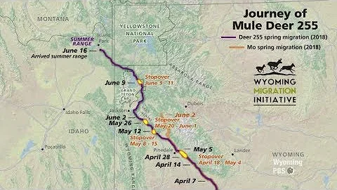 Wyoming Migration Initiative