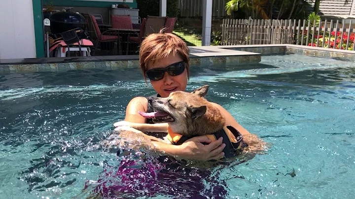 Janis Pool vid
