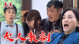 天道 EP270預告 胡蝶替少懷扮假喪禮！逼婆婆蓋手印拿股份｜@setdramatw