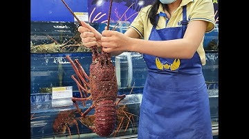 Hàng tấn tôm hùm khổng lồ Úc đổ bộ Sài Gòn, được chế biến sẵn và giao tận nhà