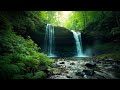 🌞 Peaceful Morning Piano with Birds & Breeze – Start Your Day Calmly 🌞