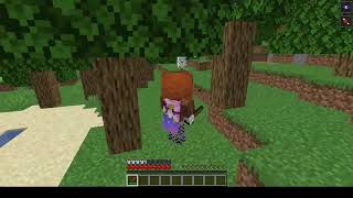 Mobs smp application