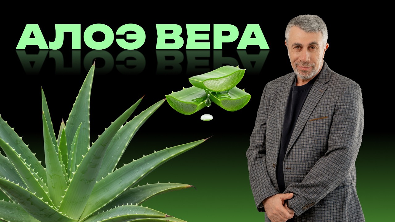 Алоэ вера: правда и мифы. Что реально работает, а что маркетинг