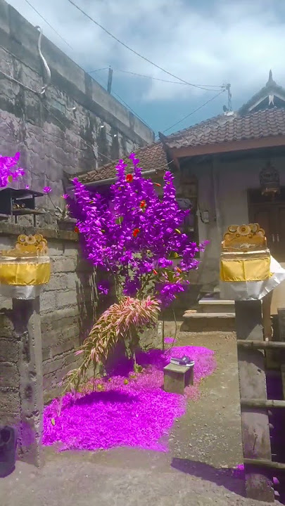 #dilangitadamatahari#ayobuatsertipikatmu