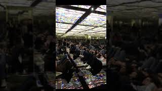 A Sneak Peek of the Atelier des Lumieres Show in Paris, France