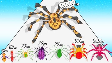 Insect Clash Spider Evolution - Level Up Spider Max Level ASMR Satisfying Gameplay