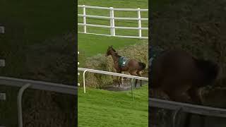 Horse does something extraordinary! #racingtv #horseracing #sport #shorts