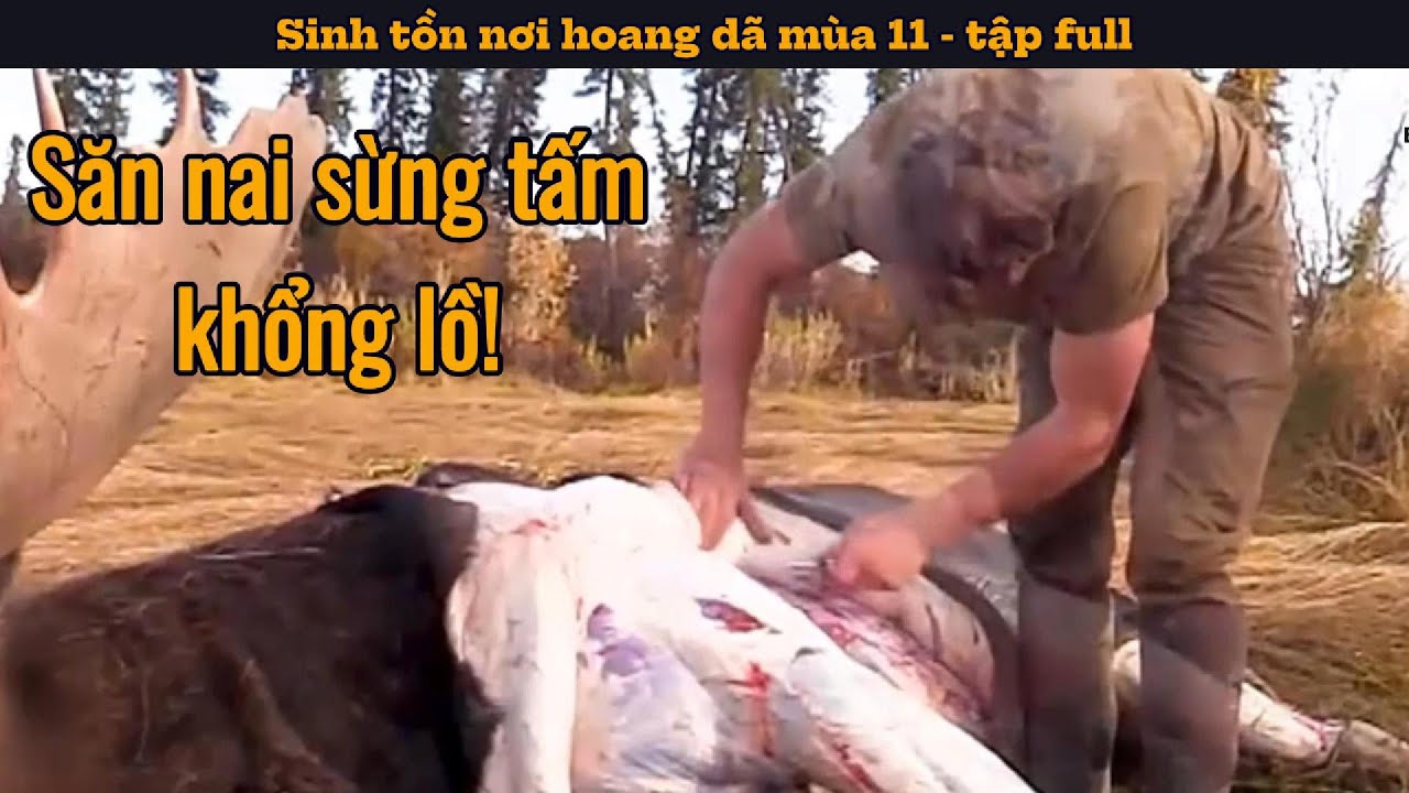 Thí sinh săn được nai sừng tấm khổng lồ | Thử thách sinh tồn nơi hoang dã mùa 11 - tập full