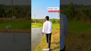 2026 consular elections voting + Village memorial vibes captured video mini vlog