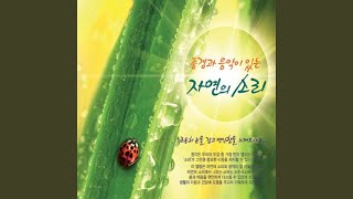 Download lagu Promenade Dans Les Bois (Promenade Dans Les Bois)