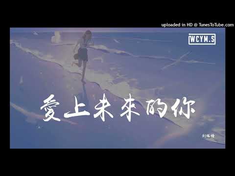 【高音質】劉瑞琪-愛上未來的你
