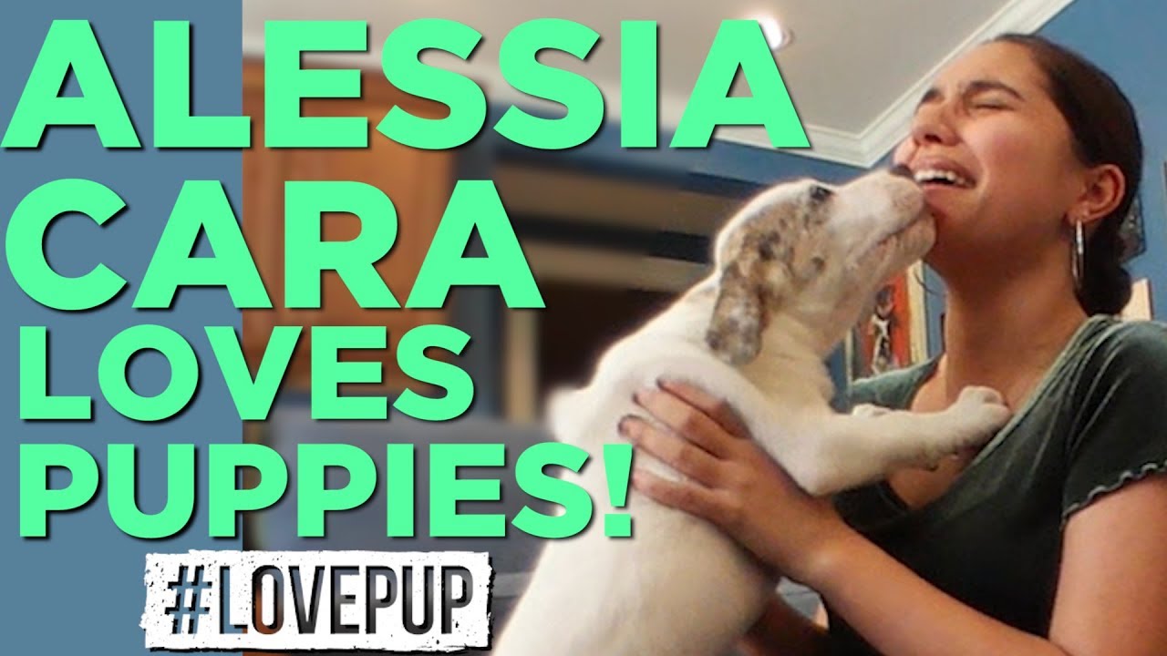 Alessia Cara LOVES Puppies & Talks Family, Music and Jimmy Fallon!