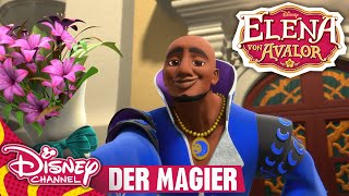 Was für ein seltsamer Geselle! | Elena von Avalor
