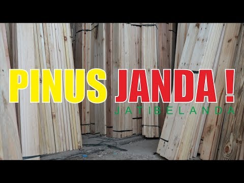 Video: Irisan Papan Pinus: Papan Pinus Kering, Kelas Ekstra Dan Lainnya, Angarsk Dan Pinus Lainnya