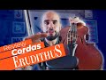 Corda BOA e BARATA para Violino | Review