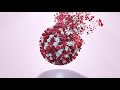 Flowers An Arctic Wolf Marketing Animated Logo Reveal