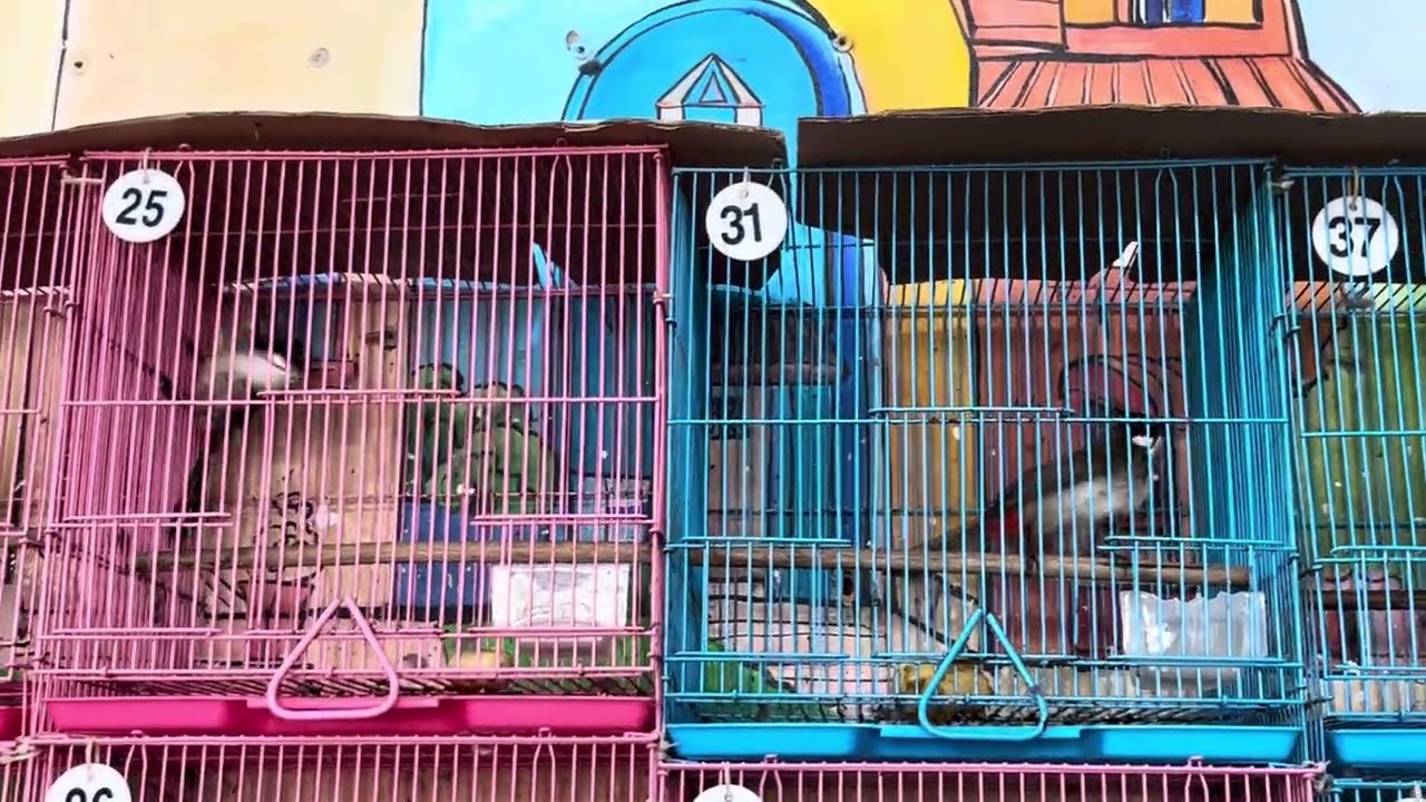 Thứ năm 5/3/2026❤️0903.743.166❤️400/17 đường HT 17 phường hiệp thành quận 12❤️