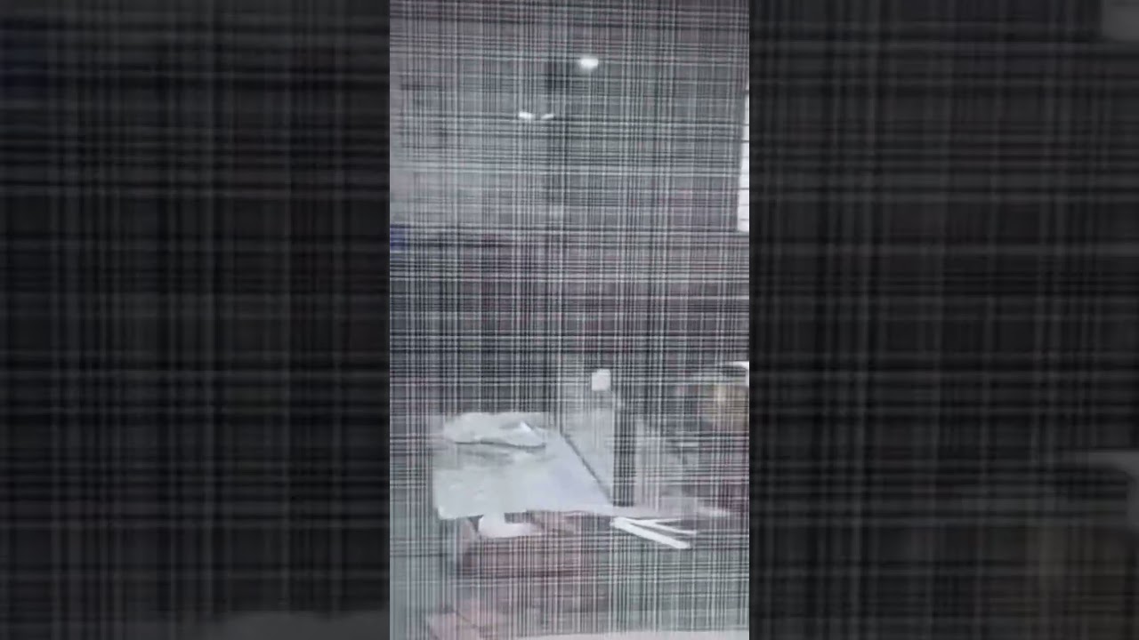 Interior wall partition by fabric laminated glass panel and matte black frame