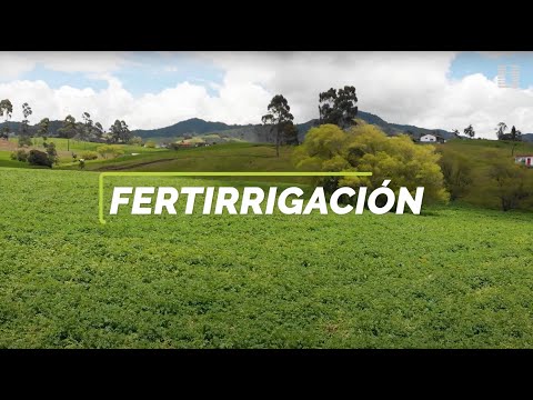 Video: ¿Qué es la fertirrigación? ¿Cómo funciona la fertirrigación y cómo se hace?
